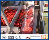 Fruit Processing Tomato Juicer Machine , Electric Tomato Juicer Process Plant And Machinery