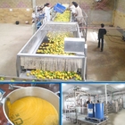 380V Automatic Mango Juice Processing Machine Industrial Fruit Juice Making Machine