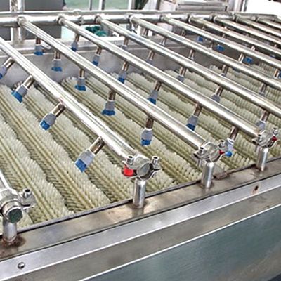 Industrial Fruit Cleaning Machine Automatic Strawberry Washing Machine