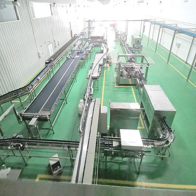 SS304 Mango Pineapple Mesh Fruit Conveyor Belt Corrosion Resistant