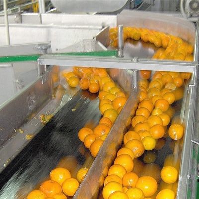50T/H 산업적 레몬 쥬스기 계절과일 가공기